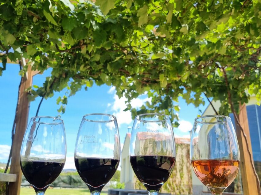 20240217_094958 20240217_094958