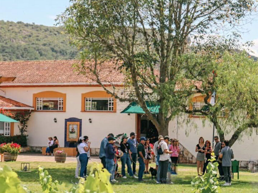 IMG_1798recotado IMG_1798recotado