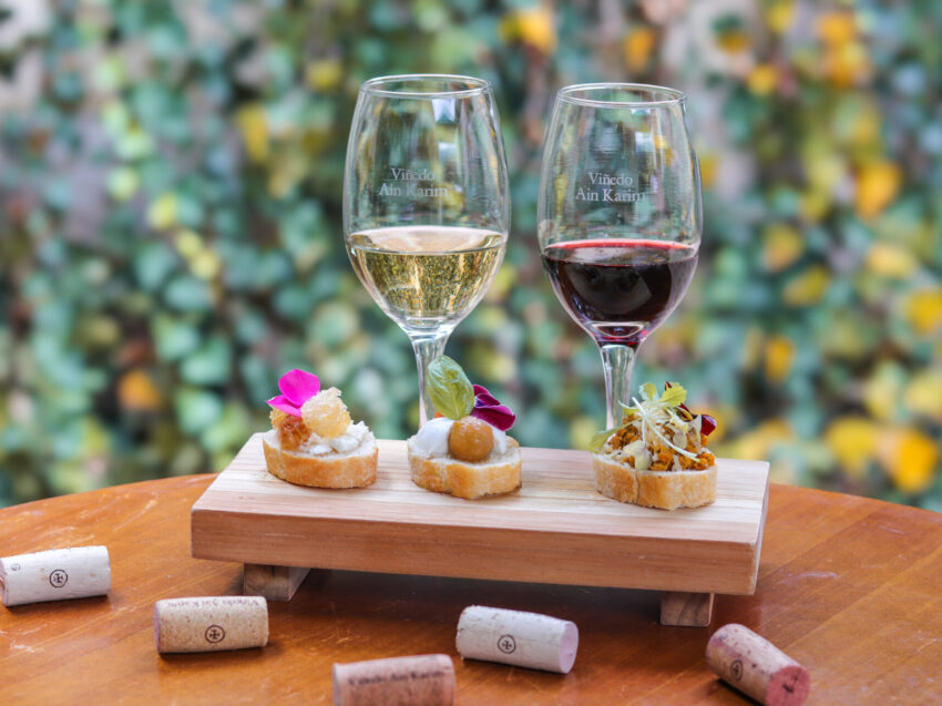 Plan Verano 3 Plan Verano 3