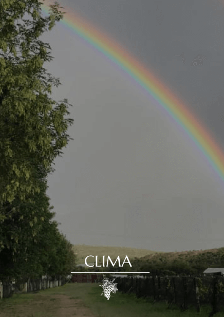 clima