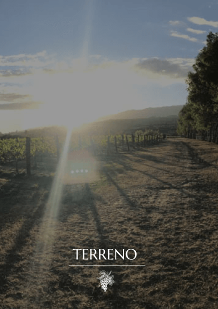 terreno